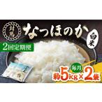 対馬産 なつほのか 5kg×2