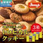 トロピカルクッキー ミニ 2枚入×12袋