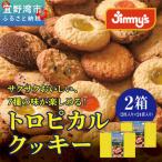 トロピカルクッキー M 2枚入×24袋 ×2箱