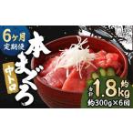 本マグロ 中トロ 約300g