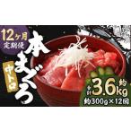 本マグロ 中トロ 約300g