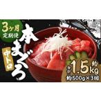 本マグロ 中トロ 約500g