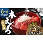 本マグロ 中トロ 約500g