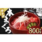 本マグロ 中トロ 約800g
