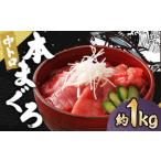 本マグロ 中トロ 約1kg