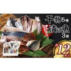 干物 5種