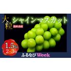 ふるさと納税 【ふるなびWEEK対象】<25年発送先行予約>笛吹市産 大粒シャインマスカット 1.5kg(2〜3房) 227-003 FN-Limited 山梨県笛吹市