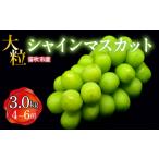 ふるさと納税 <25年発送先行予約>笛吹市産 大粒シャインマスカット 3.0kg(4〜6房) 227-005 山梨県笛吹市