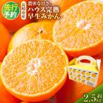 ハウス完熟早生みかん お試し 約2.5kg箱
