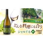 ワイン シャルドネ 6本セット