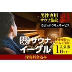 サウナイーグル1日フリー入泉券 深夜料金込み