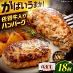 厳選素材の産佐賀牛入りハンバーグ 計1.8kg