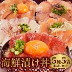 漬け丼5種お試しセット N019-YA192