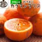 ふるさと納税 家庭用 カラマンダリン10kg＋250g（傷み補償分）［南津海・なつみ］［希少な春柑橘］［わけあり・訳あり］［みかんと同じよう.. 和歌山県和歌山市