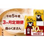 令和5年産 森のくまさん 白米 10kg