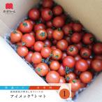 高糖度トマト フルティカ ミニトマト フルーツトマト