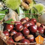 夢甘栗 秀品 高級生栗 約1kg
