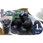 fu.... налог [..... налог ]< голубика рефрижератор 1kg> фрукты .. было использовано Kochi префектура Sagawa блок фрукты остров мыс коммерческое предприятие [ рефрижератор ] рефрижератор голубика .. фрукты.. Kochi префектура Sagawa блок 