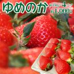 いちご ゆめのか 250g×4パック