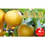 黒岩梨生産者組合の新高梨 2玉