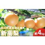 ふるさと納税 新高梨(約4kg/4〜6玉入)【期間限定】 2025年秋発送 高知県佐川町