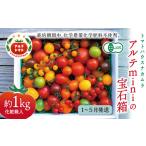 アルテminiの宝石箱 約1kg×1箱