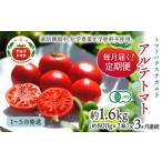 アルテトマト 定期便 約1.6kg×3ヶ月連続