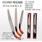 本体3本+替刃2枚セット