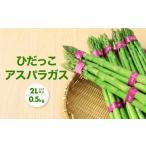 先行受付 2Lサイズ以上 ひだっこアスパラガス 0.5kg