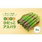 先行受付 ひだっこアスパラ 3.0kg