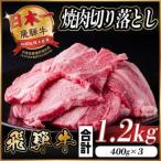 飛騨牛焼肉切り落とし 約1.2kg