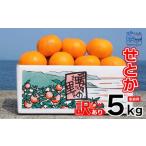 訳あり せとか 5kg