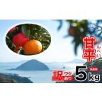 訳あり 甘平 5kg