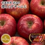 りんご 訳あり 葉とらずサンふじ 約5kg