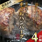 宮崎牛入りハンバーグ 140g×4個
