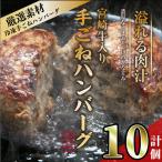 宮崎牛入りハンバーグ 140g×10個