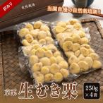 訳あり 栗 1kg