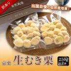 訳あり 栗 500g