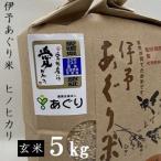 米 玄米 5kg