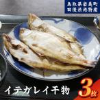 田後漁港特産 イテガレイ干物3個セット