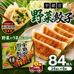 宇都宮野菜餃子 14個入り×6 ケース 1箱