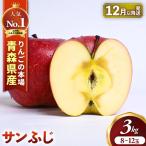 産りんご サンふじ 約3kg