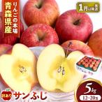 産りんご サンふじ 約5kg