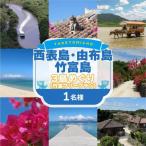 西表島 由布島 竹富島3島めぐり 竹富フリープラン