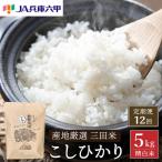 米 12回 定期便 令和8年 三田米 コシヒカリ 5kg