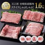 まるみ豚 産豚肉 ハンバーグ 精肉セット 計1.6kg