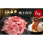 ふるさと納税 神戸牛 訳あり 焼肉用 500g×2 A4ランク以上! 神戸ビーフ 小分け 焼肉 A5 ランク 切り落とし 訳アリ 不揃い 焼き肉 規格外.. 兵庫県加西市