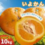 ふるさと納税 伊予柑 いよかん 約10kg 【訳あり】【1月上旬から順次発送】柑橘類 先行予約 訳アリ ワケアリ フルーツ 柑橘類 先行予約 果物 フ.. 愛媛県松山市