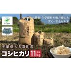 J03202 令和7年産 コシヒカリ 玄米11kg