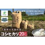 令和7年産 大多喜産コシヒカリ 玄米20kg